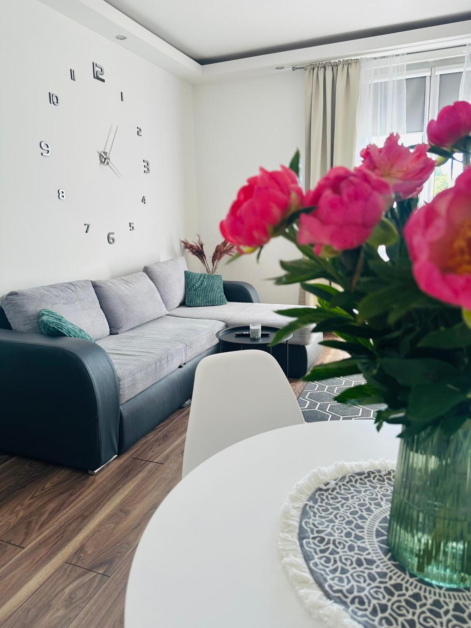 City Apartment Czestochowa Centrum 2-Bedroom Экстерьер фото